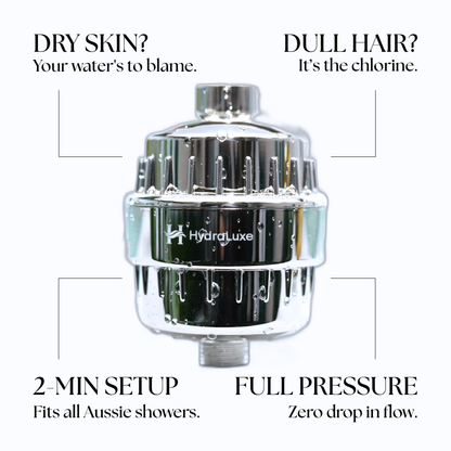 HydraLuxe Two-Bathroom Kit — two shower filters plus two replacement cartridges